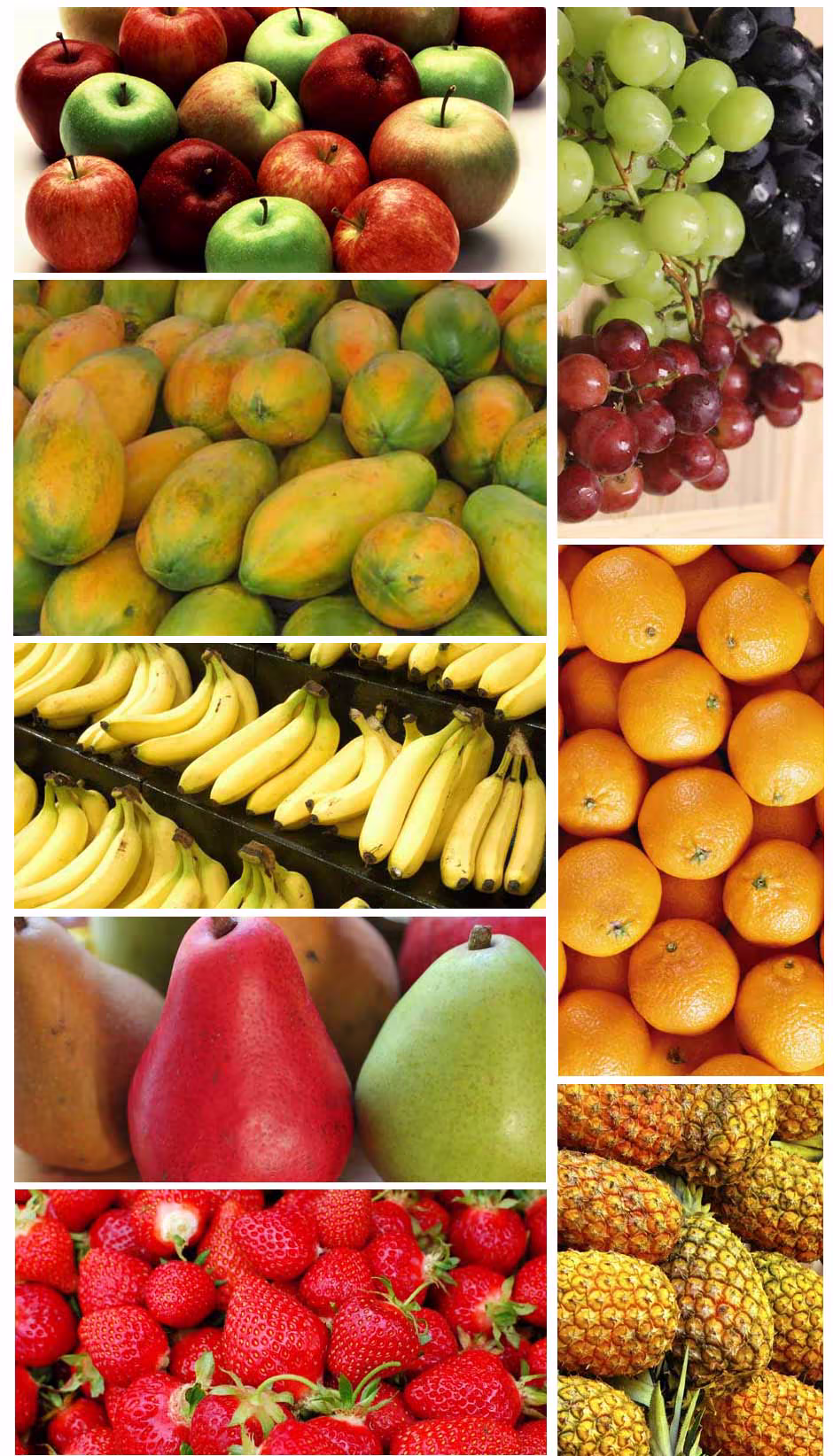 Fruits album