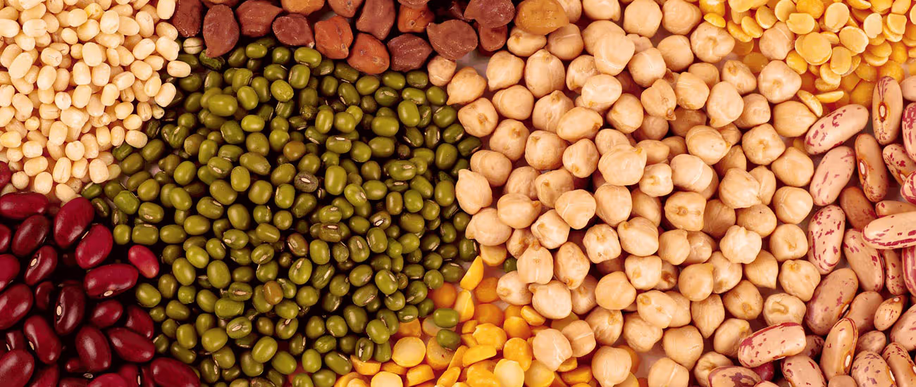 Pulses